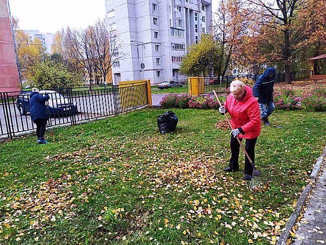 Экологическая акция «Чистый город»