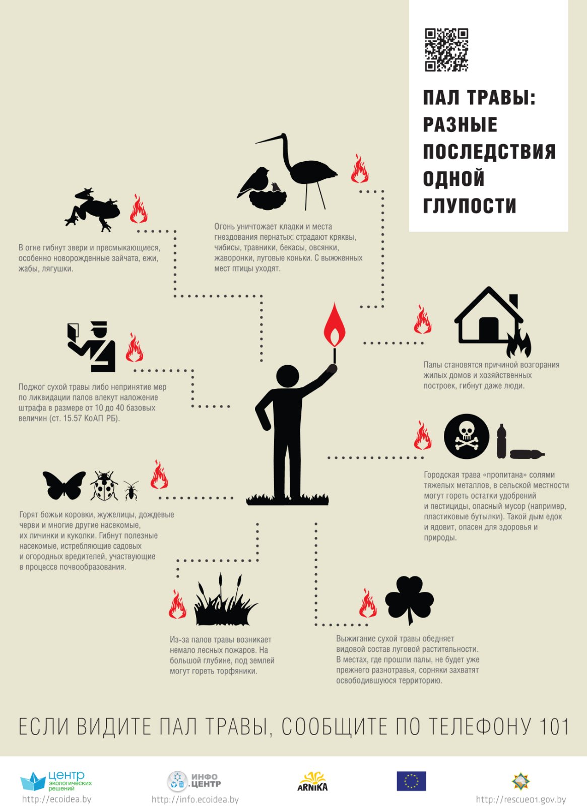 Пал травы: разные последствия одной глупости