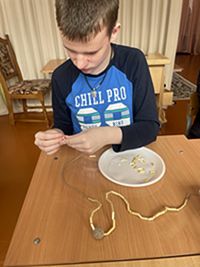 мастер-класс «Волшебная соломка!»