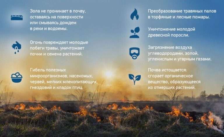 Праздник весны и красоты
