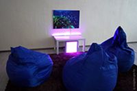 Дни открытых дверей 