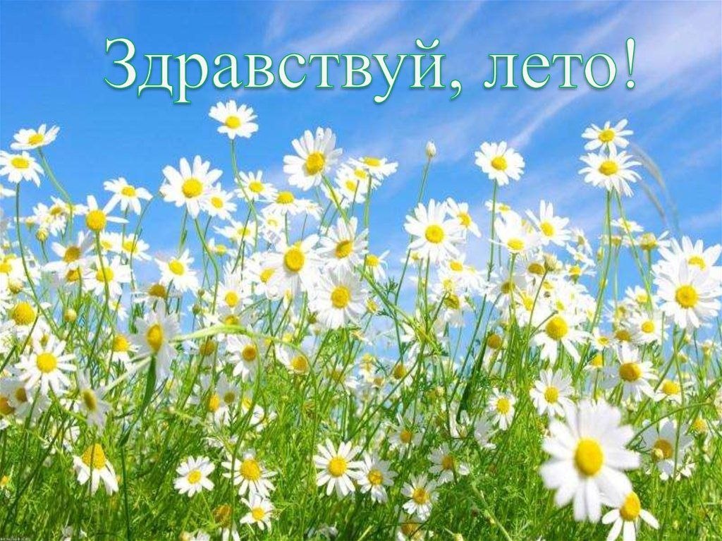 Здравствуй, лето! 